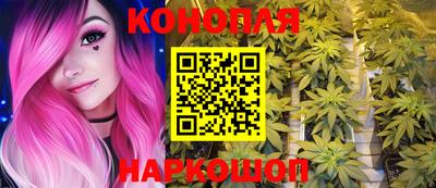 a pvp Краснознаменск