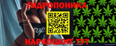МДПВ Краснодар