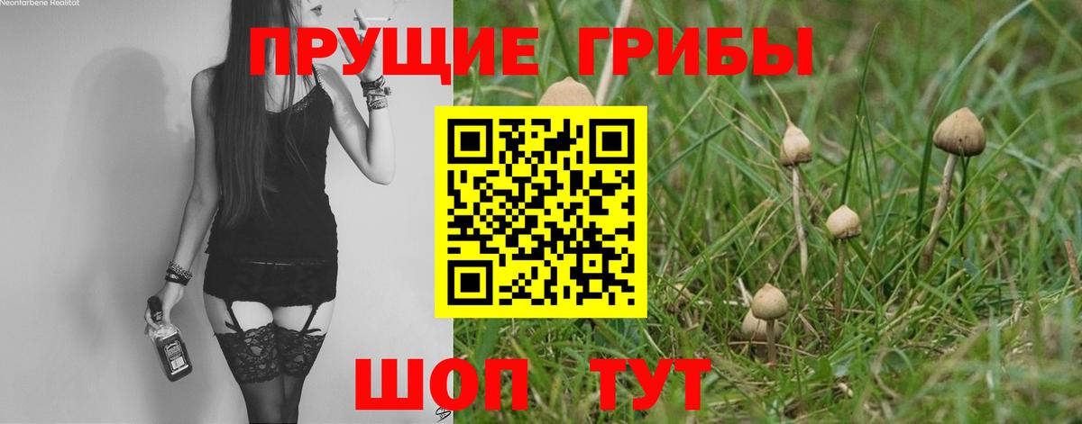 Галлюциногенные грибы прущие грибы  купить наркоту  Звенигород  Вход с VPN 